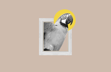 Digital collage, bird get out of picture frame - 551205343