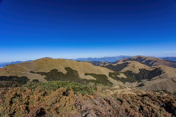 Sunny landscape of the Hehuanshan mountain