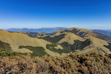 Sunny landscape of the Hehuanshan mountain
