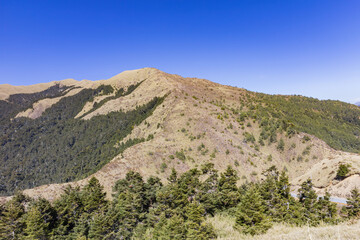 Sunny landscape of the Hehuanshan mountain