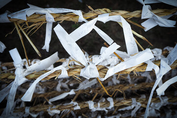 Whishes on paper attached around a sacred tree in Hahoe folk village near Andong