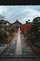 京都・嵐山「紅葉」