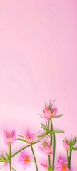 Spring flowers on pink background 
