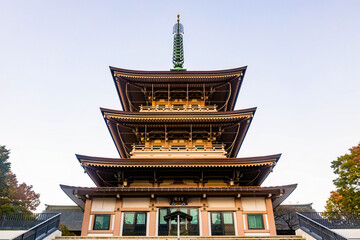 Ancient scenic Zenkoji Temple pagoda at fall