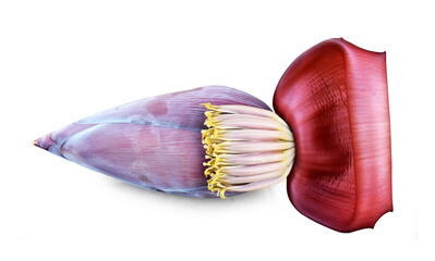 Banana flower