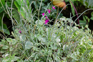 Modern exterior of coffee shop