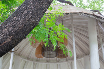 Obraz premium Modern exterior of coffee shop