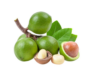 macadamia nuts on transparent png