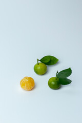 cumquats,orange