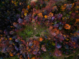 Fototapeta na wymiar Autumn Bird's Eye : A majestic view of colorful trees blanketing the mountainous forest