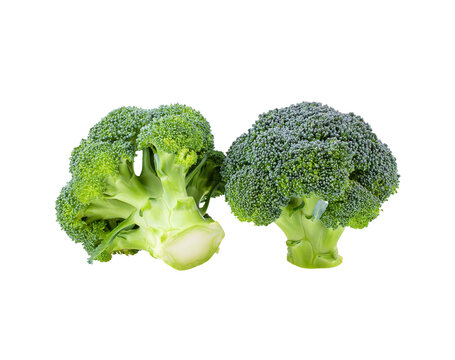 set of broccoli isolated on transparent png