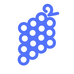 Food Fruit Grapes Icon