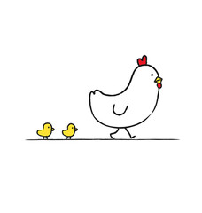 Chicks, and rooster cartoon. Chicken meat production, bird breeding. Poultry farm, animal husbandry. Chicken family on poultry farm chicken birds. Flat vector illustration. Hand drawn style.
