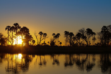 Sunset on the Okavango Delta.