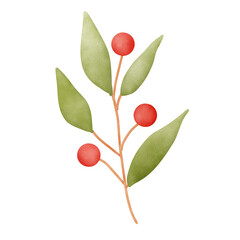 branch with leaves and holly berries for Christmas decorations watercolor illustrations 