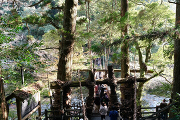 【徳島】祖谷のかずら橋（秋）