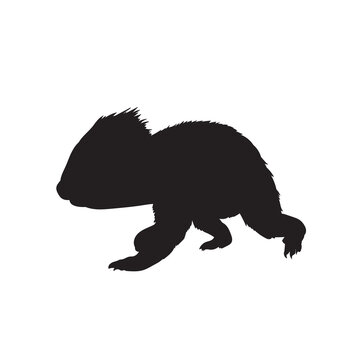 recommend clip art: Black silhouette cute koala bear. Cartoon animal design flat vector illustration isolated on white background.