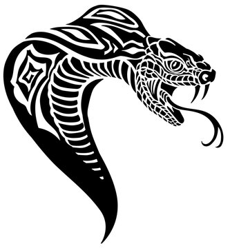 cobra poisonous snake in a defensive position. Head. Attacking posture. Silhouette. Black and white tattoo style vector illustration