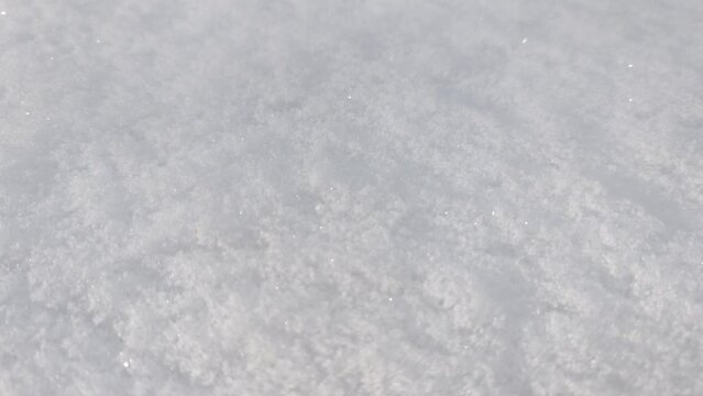 Snow texture background. Winter season
