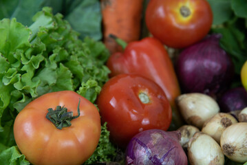 Assorted vegetables on organic background