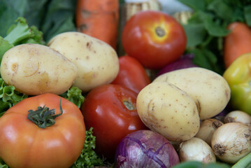 Assorted vegetables on organic background