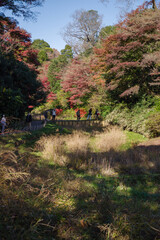 明治神宮で見える風景