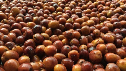 chestnuts in the market