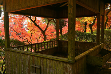 Obraz premium 紅葉期の大興善寺「契園」