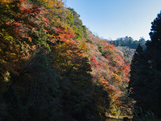 養老渓谷の晩秋