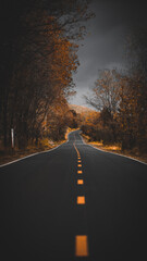 Fototapeta premium driving on the highway