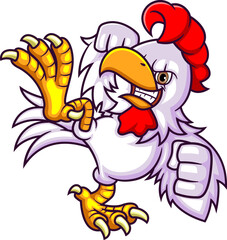 The rooster fighter kicking