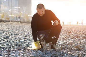 remove dog feces, man on the beach picking up dog excrement