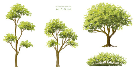 Vector watercolor blooming flower,tree or forest side view isolated on white background for landscape and architecture drawing,elements for environment and garden,botanical for section in spring