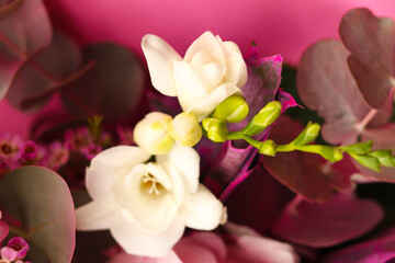 Naklejka na ściany i meble Beautiful bouquet of fresh chamelaucium uncinatum, freesias, hydrangea, eucalyptus in tender pink and white colors, bouquet of flowers close up. Floral shop concept.