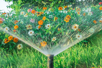 Blur of water in motion from a sprinkler in the garden against the background of flowers.Blurred action of watering flowers. - obrazy, fototapety, plakaty