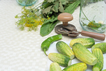 Cucumbers with green hot pepper and herbs on the table prepared for conservation. Selective focus. Harvest fall preparations 