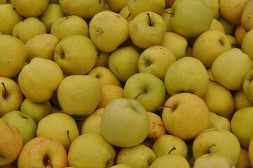 green apple close up photo