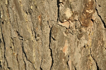 mountain stone close view