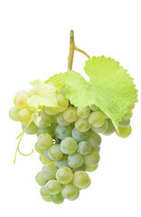 Bunch of grapes isolated on white