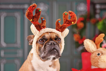 French Bulldog dog with Christmas reindeer antler costume headband