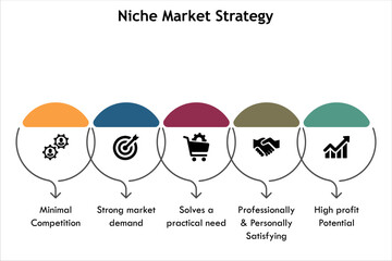Niche Market Strategy with icons in an Infographic template