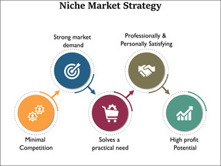 Niche Market Strategy with icons in an Infographic template