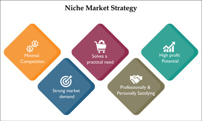 Niche Market Strategy with icons in an Infographic template