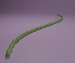 Thiomargarita magnifica is a species found growing underwater on the detached leaves of red mangroves 3d rendering