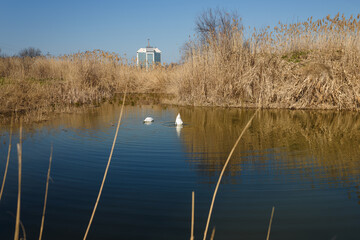 Fototapete bei efototapeten.de bestellen   