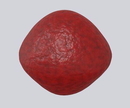 Isolated swollen erythrocyte in the white background. Macrocytic anemia 3d rendering