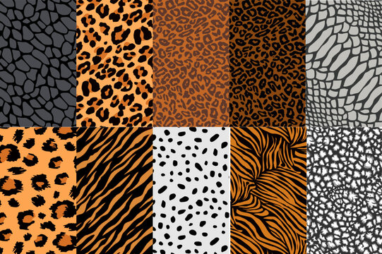 Wild animal skin texture seamless pattern background with leopard, cheetah, tiger, giraffe, zebra, snake skin texture, for print design, fabric, textile, digital paper, wallpaper
