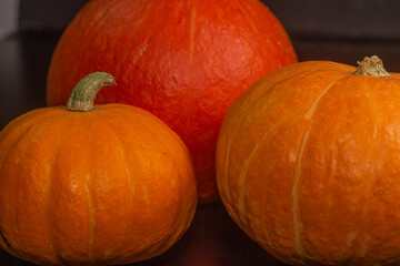 Yellow-orange pumpkins on a black background the concept of Halloween and the autumn harvest of pumpkin close-up copyspace from above