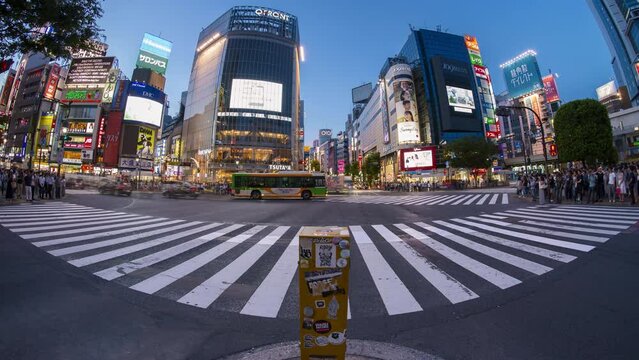4k Time lapse of people crossing Shibuya road in Tokyo, Japan