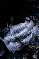 燃えた炭の様々な模様